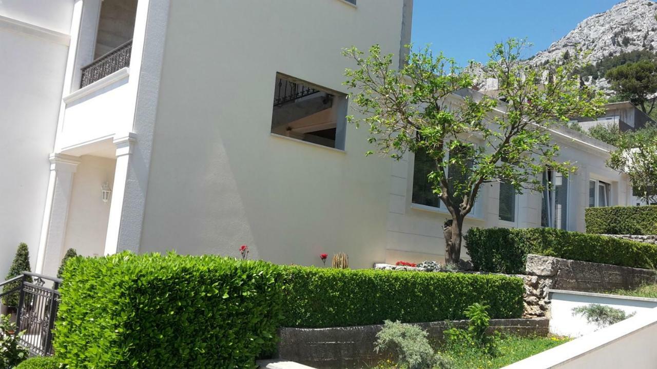 Guest House Fenix 布雷拉 外观 照片